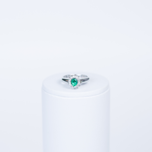 ANILLO KUMARI